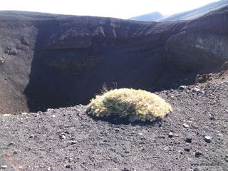 nte Pizzillo-21-10-2012 09-51-36